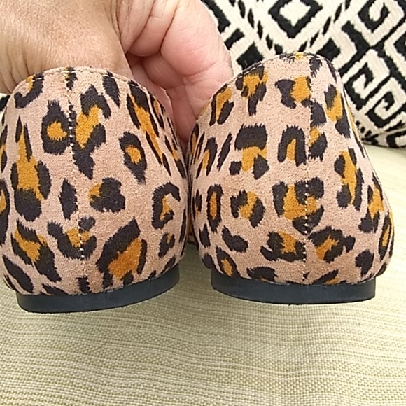 Refresh flats. - Picture 7 of 9